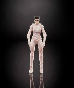 Budget ๐ฅฐ Hasbro Ghostbusters Plasma Series Gozer 6-Inch Action Figure ๐งจ 10 Hasbro Ghostbusters Plasma Series Gozer 6-Inch Action Figure