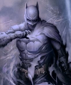 Batman: Detective Comics #1006 Fine Art Print By Artist Dan Quintana. Art Print By Sideshow Collectibles Art Work Murals & Prints