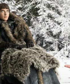 Bran Stark (Deluxe Version) Game Of Thrones Sixth Scale Figure By Threezero