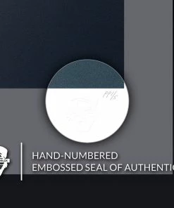 Samuel L. Jackson Art Print By Sideshow Collectibles By Renowned Photographer Patrick Hoelck.