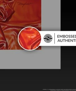 Vampirella: Roses For The Dead Fine Art Print By Renowned Comic Book Artist Mike Mayhew. Art Print By Sideshow Collectibles Art Work Murals & Prints