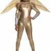 DC Comics Costumes Deluxe Wonder Woman Gold Armor Womens Costume