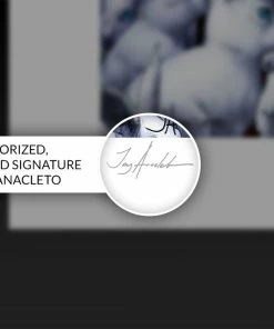 Top 10 π€© Art Work Murals & Prints Zatanna Fine Art Print By Artist Jay Anacleto, Art Print By Sideshow Collectibles β 9 Art Work Murals & Prints Zatanna Fine Art Print By Artist Jay Anacleto, Art Print By Sideshow Collectibles